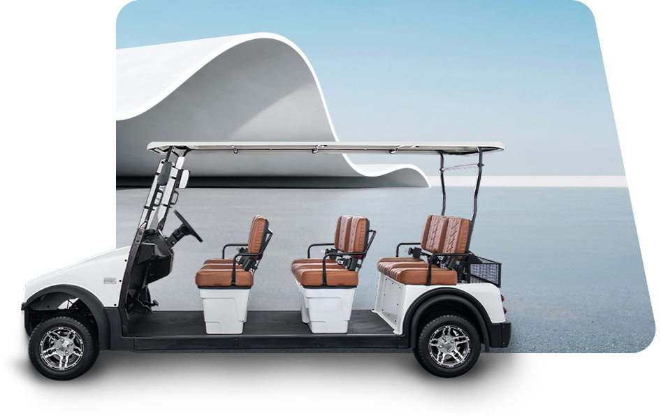 Electric Buggies xp6